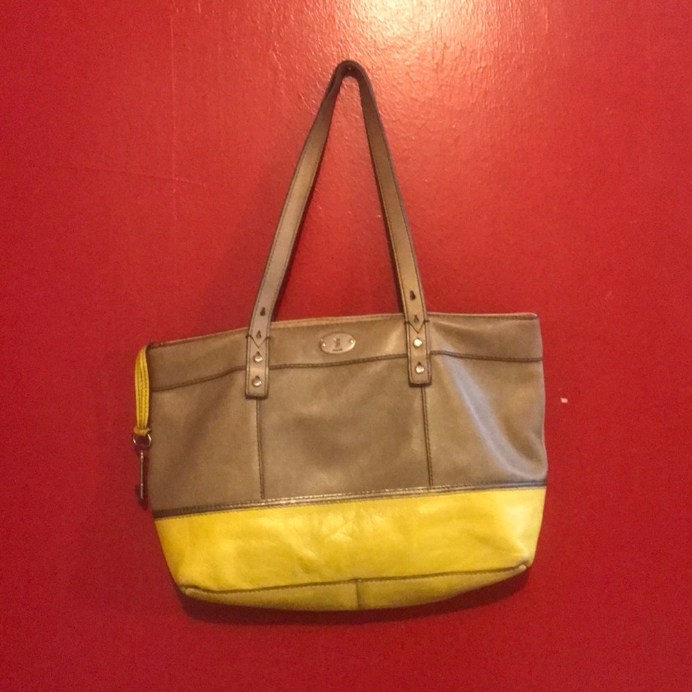Fossil purse